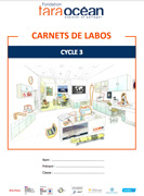 carnet de discipline